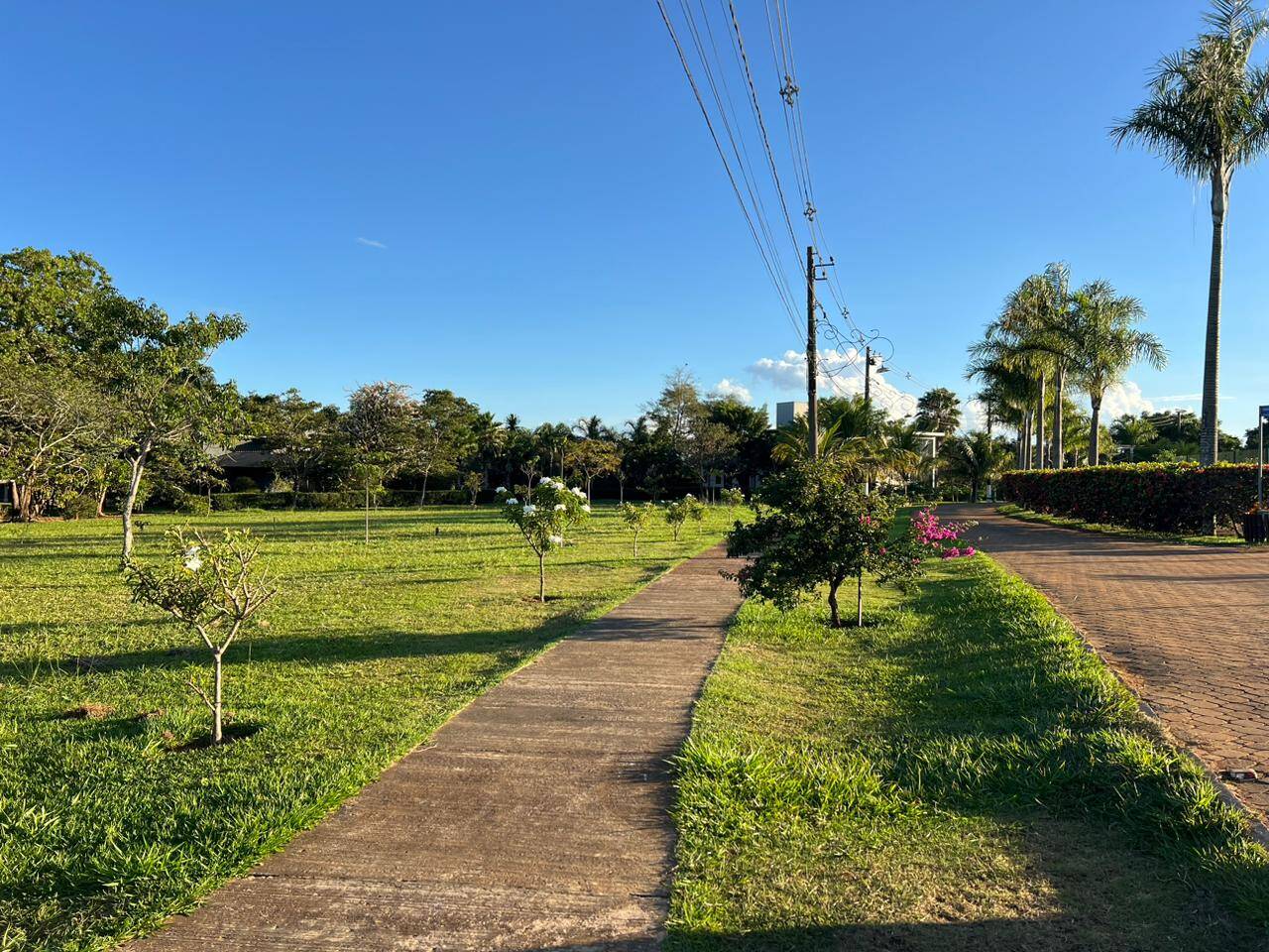 #TE0062 - Área para Venda em Chapada dos Guimarães - MT