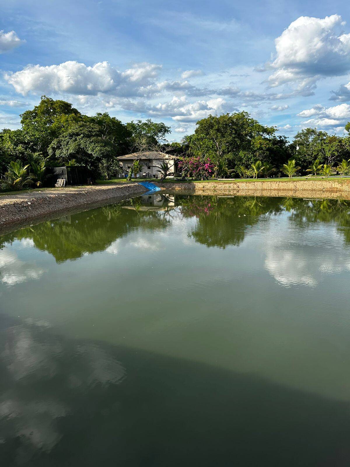 #CH0081 - Chácara para Venda em Cuiabá - MT