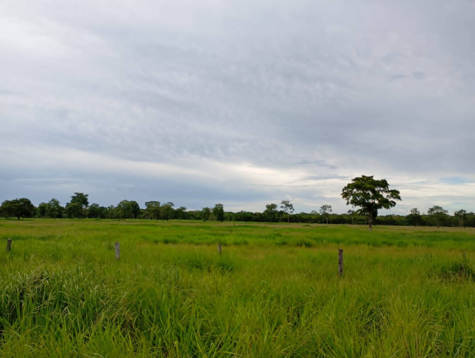 #FA0089 - Fazenda para Venda em Rosário Oeste - MT