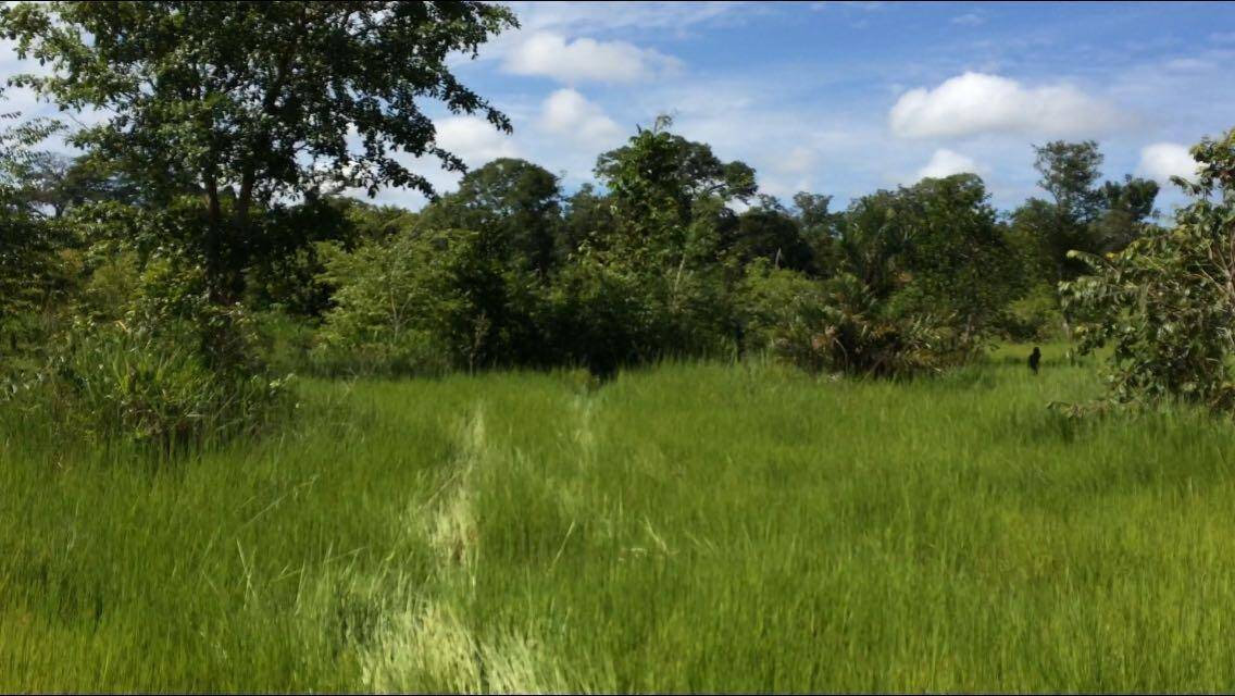 #FA0102 - Chácara para Venda em Novo Santo Antônio - MT