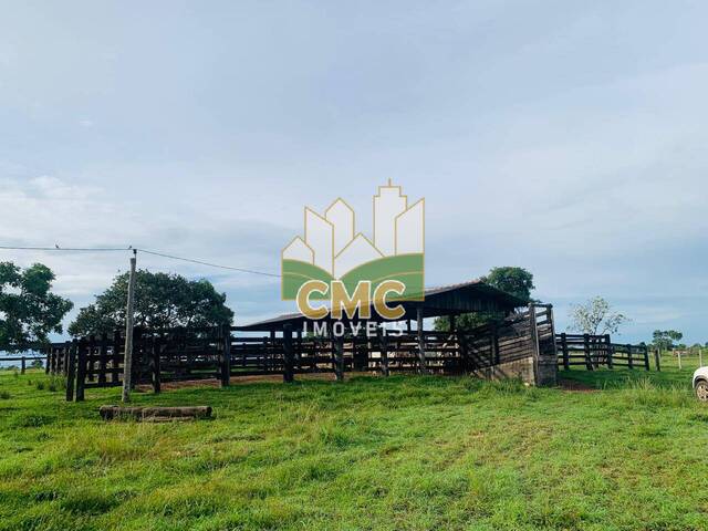 Fazenda para Venda em Rosário Oeste - 5