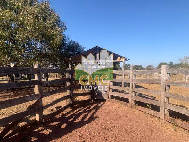 #FA0021 - Fazenda para Venda em Nossa Senhora do Livramento - MT