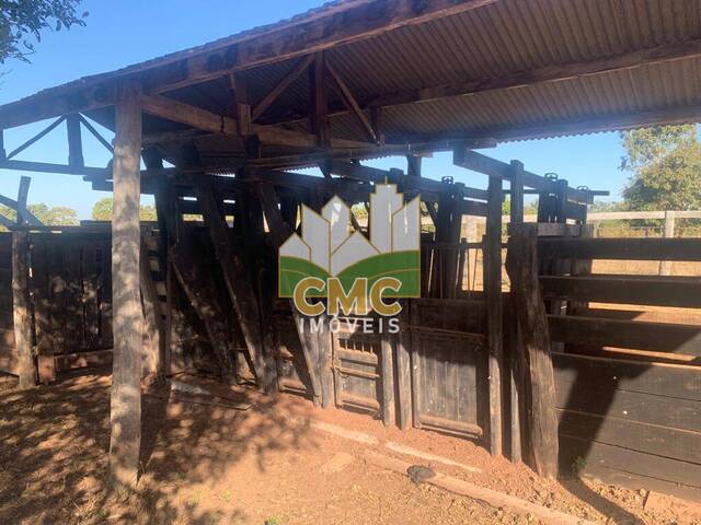 Fazenda para Venda em Nossa Senhora do Livramento - 5