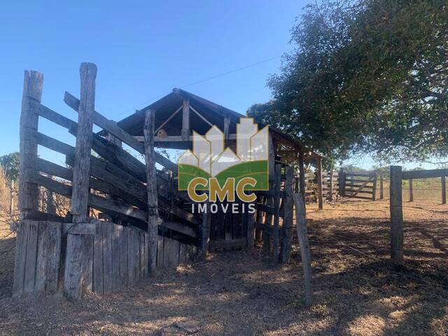 Fazenda para Venda em Nossa Senhora do Livramento - 4
