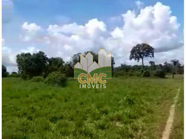 Fazenda para Venda em Brasnorte - 4