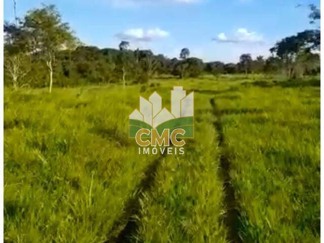 Fazenda para Venda em Brasnorte - 5