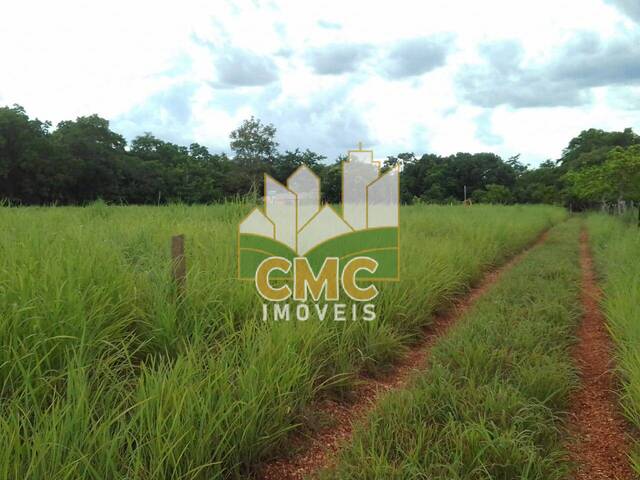#CH0053 - Chácara para Venda em Santo Antônio do Leverger - MT