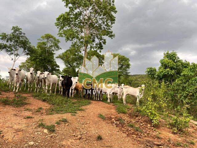 Fazenda para Venda em Acorizal - 5