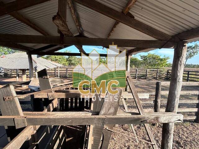 Fazenda para Venda em Nossa Senhora do Livramento - 4