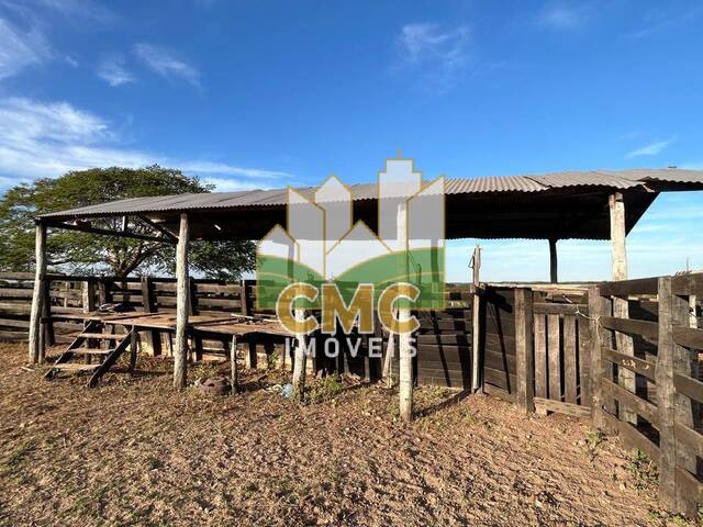 Fazenda para Venda em Nossa Senhora do Livramento - 5
