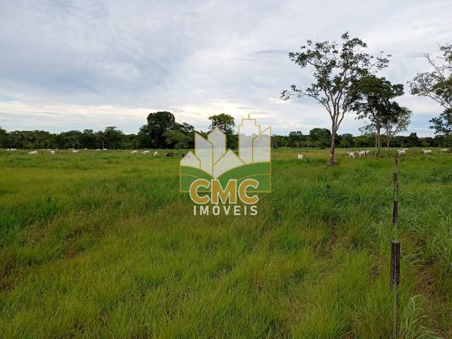 #FA0089 - Fazenda para Venda em Rosário Oeste - MT