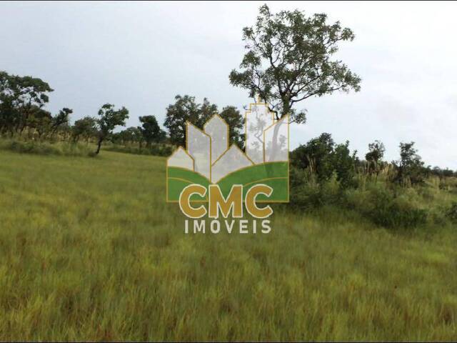 Chácara para Venda em Novo Santo Antônio - 4