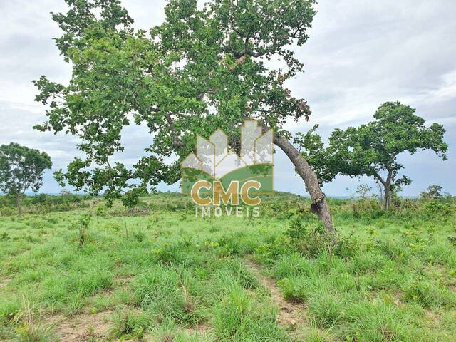 Fazenda para Venda em Rosário Oeste - 5