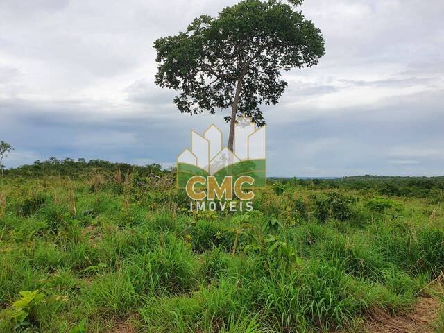 #FA0109 - Fazenda para Venda em Rosário Oeste - MT