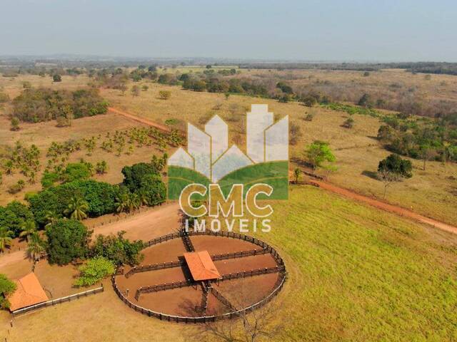 Fazenda para Venda em Acorizal - 5